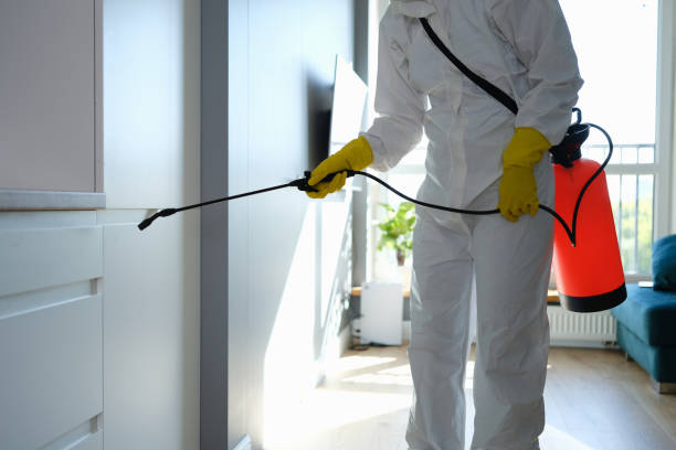 Best Certified Mold Removal  in Fraser, CO